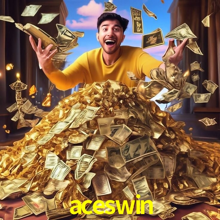 Interface Premium aceswin